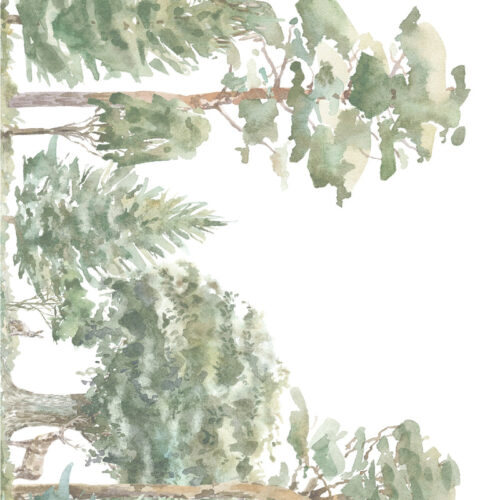 Detalle de Papel pintado CANADÁ de Be Tip Top, diseño de hojas y ramas en tonos tierra y verde, ideal para salones, recibidores, dormitorios o espacios con estilo natural y acogedor.