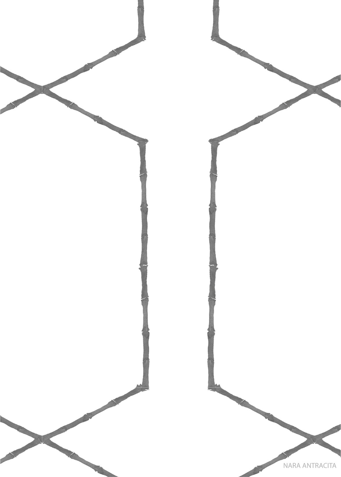 NARA ANTRACITA