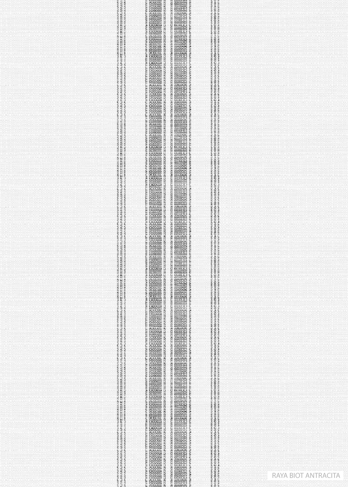 RAYA BIOT ANTRACITA