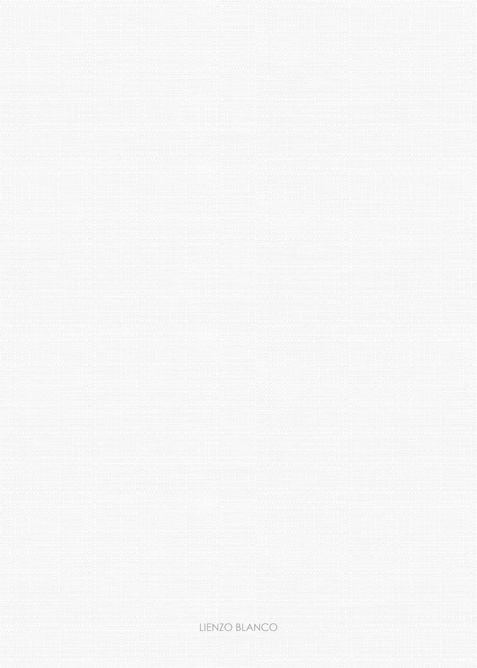 Lienzo blanco-02